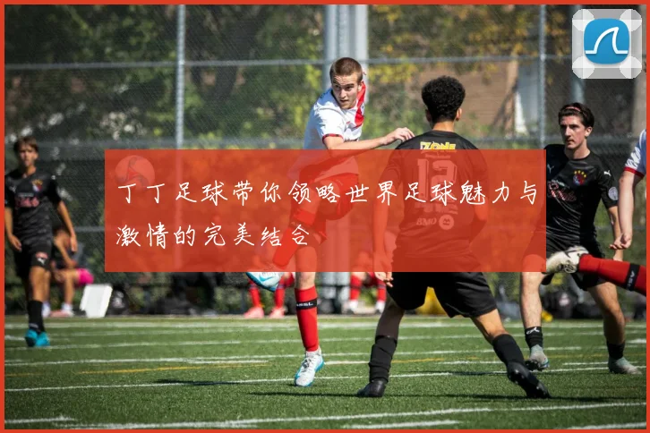 丁丁足球带你领略世界足球魅力与激情的完美结合