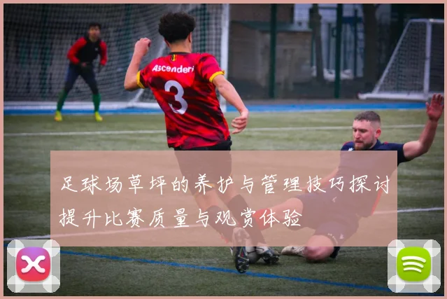 足球场草坪的养护与管理技巧探讨提升比赛质量与观赏体验