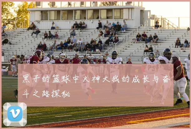 黑子的篮球中火神大我的成长与奋斗之路探秘
